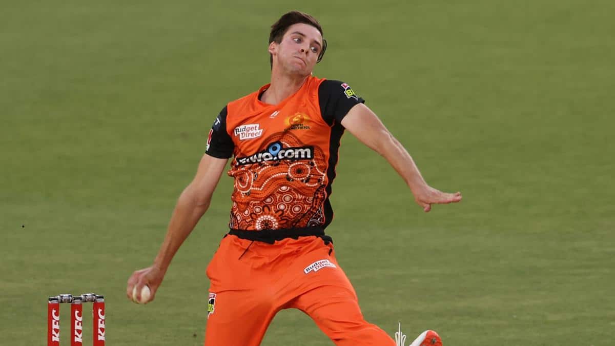 Scorchers suffer massive blow as ace seamer ruled out of BBL qualifier due to injury